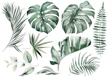Bohemian Watercolor teal green tropical leaves illustration isolated. Boho or ethnic elements for wedding stationery, exotic summer greeting designs and crafting