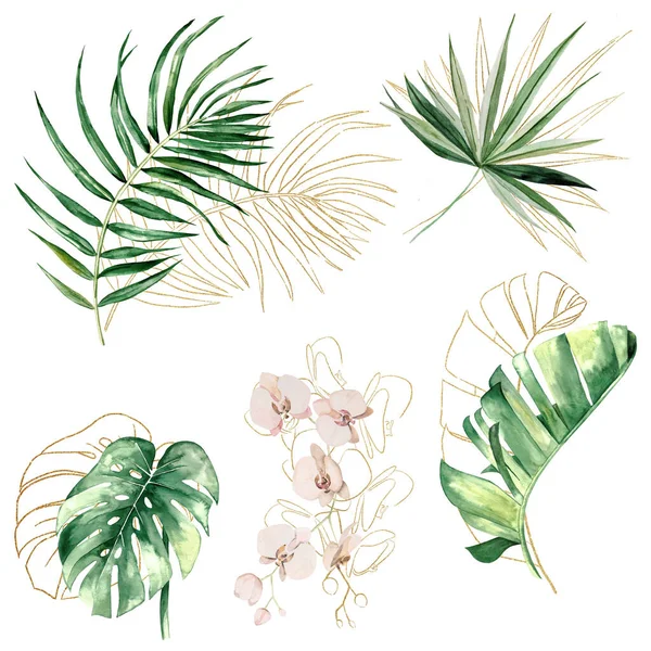 Green Golden Tropical Watercolor Leaves Flowers Illustration Monstera Palm Banana — Stockfoto