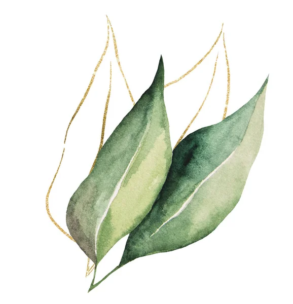 Green Golden Botanical Watercolor Leaves Illustration Elegant Elements Summer Wedding — Zdjęcie stockowe