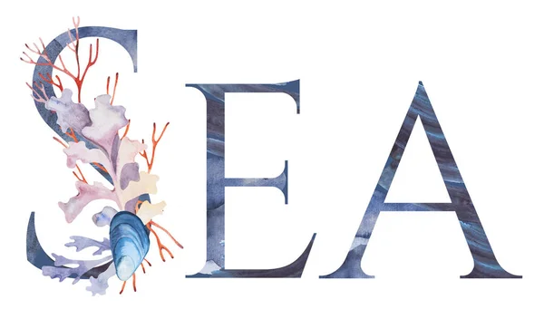 Word Sea Made Blue Letters Decorated Watercolor Seaweeds Corals Seashells — 스톡 사진