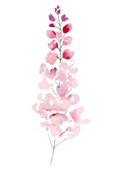 Светло Розовые Акварельные Полевые Цветы Листья Иллюстрация Изолированные Цветочный Элемент — стоковое фото
