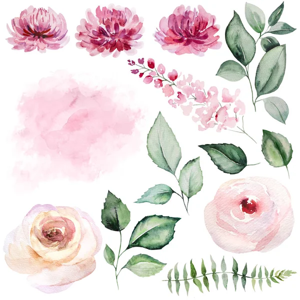 Watercolor Pink Roses Flowers Green Garden Leaves Illustration Isolated Romantic — 图库照片