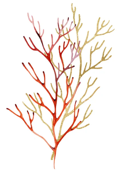 Red Watercolor and golden corals Illustration, isolated element. Underwater Illustration element for greeting cards, summer sea beach wedding invitations, crafting, printing