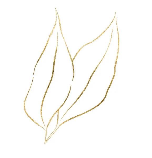Golden Outlines Botanical Leaves Illustration Isolated Elegant Monochrome Sketch Element — 스톡 사진