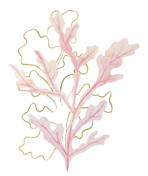 Light Pink Watercolor Golden Seaweeds Isolated Element Underwater Illustration Element — Zdjęcie stockowe