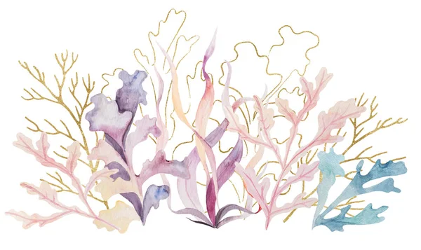 Arrangement Made Watercolor Golden Seaweeds Corals Isolated Underwater Illustration Greeting — Stock Fotó