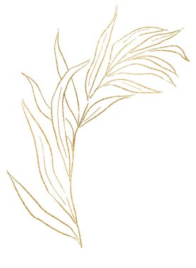 Golden outlines botanical sparkling leaves illustration isolated,. Single Elements for summer wedding design, greeting cards and crafting