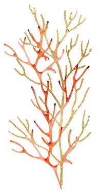 Red Watercolor and golden corals Illustration, isolated element. Underwater Illustration element for greeting cards, summer sea beach wedding invitations, crafting, printing