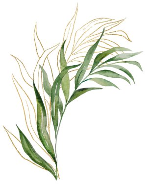 Green and Golden outlines botanical watercolor leaves illustration isolated,. Single Elements for summer wedding design, greeting cards and crafting