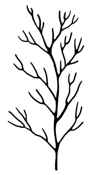 Coral Twig Black Outlines Isolated Illustration Clipart Single Element Summer — Stock fotografie