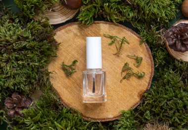 Refillable Bottle with Brush Cap on wooden piece between green moss, pine cones and nuts, top view, mockup. Skincare beauty product package. Natural Organic Cosmetic concept. 