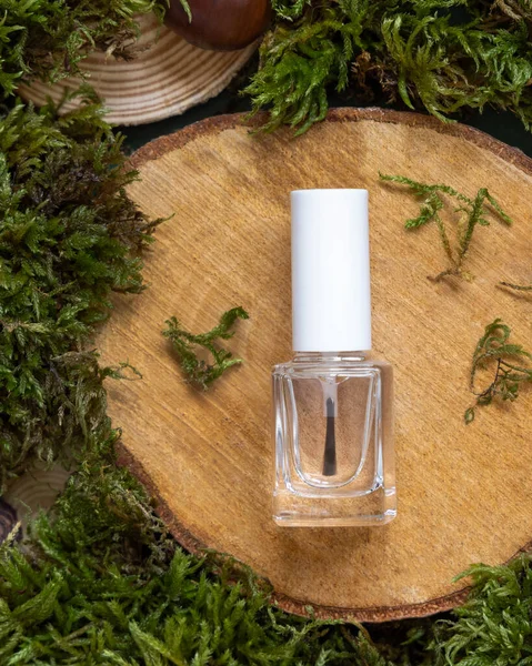 Refillable Bottle with Brush Cap on wooden piece between green moss, pine cones and nuts, top view, mockup. Skincare beauty product package. Natural Organic Cosmetic concept.