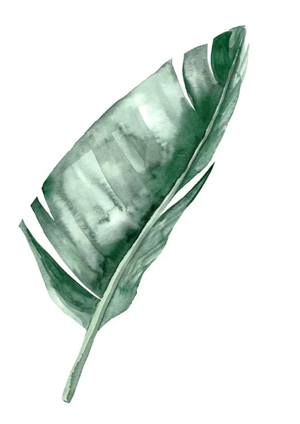 Watercolor Teal Green Banana Leaf Isolated Element Boho Tropical Wedding — 스톡 사진
