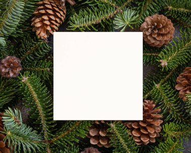 Square blank card between fir branches and pine cones on green top view, mockup. Christmas or New Year greeting card template, Holiday winter composition