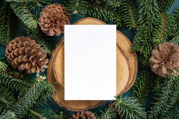 Vertical Blank Card Fir Branches Pine Cones Green Top View — 图库照片