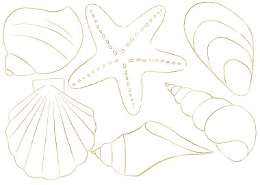 Deniz kabukları ve deniz yıldızları altın çizgilerden yapılmış, izole edilmiş illüstrasyon klipleri. Yaz mevsimi düğün kırtasiyesi, sahil partisi davetiyeleri ve tebrik kartları için tek unsurlar.