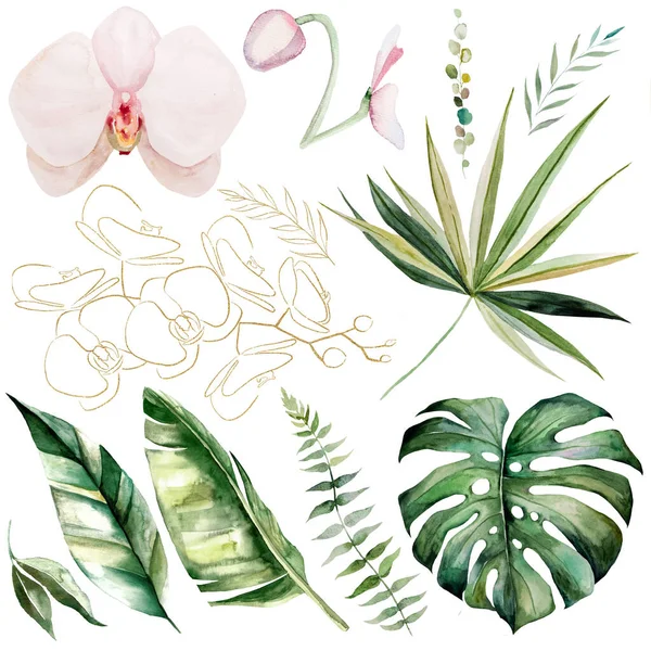 Aquarell Tropische Blätter Und Blumen Orchisblüten Bananen Monstera Und Palmblätter — Stockfoto