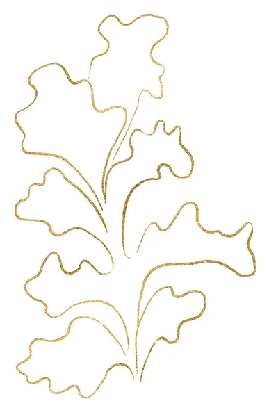 Seaweeds Made Golden Outlines Isolated Illustration Clipart Single Elements Summer — Zdjęcie stockowe