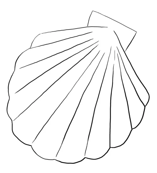 Seashell Made Black Outlines Isolated Illustration Clipart Single Elements Summer — ストック写真