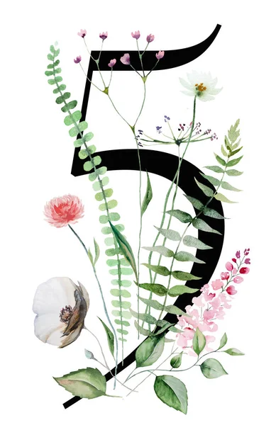 Μαύρο Νούμερο Ακουαρέλα Αγριολούλουδα Και Φύλλα Που Απομονώνονται Summer Floral — Φωτογραφία Αρχείου