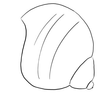 Seashell made of black outlines, isolated illustration clipart.  Single elements for summer sea wedding stationery, beach party invitations and greeting cards, crafting