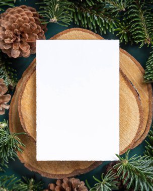 Köknar dalları ile çam kozalakları arasındaki dikey boş kart. Noel veya Yeni Yıl tebrik kartı şablonu, Bayram kış kompozisyonu