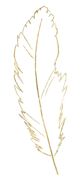 Bohemian Golden Feather Outline Isolated Illustration Natural Element Boho Wedding — Stock Photo, Image