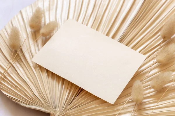 Blank Card Dry Beige Palm Leaf Hare Tail Grass Close — Stock Photo, Image