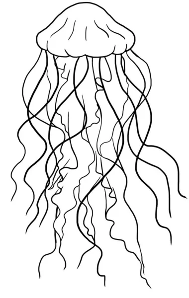 Czarny Zarys Akwarela Meduza Pojedynczy Element Podwodne Ilustracja Kartek Okolicznościowych — Zdjęcie stockowe