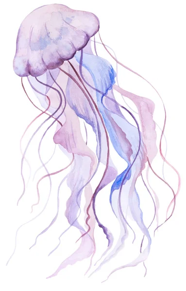 Różowy Akwarela Meduzy Pojedynczy Element Podwodne Ilustracja Kartek Okolicznościowych Zaproszenia — Zdjęcie stockowe