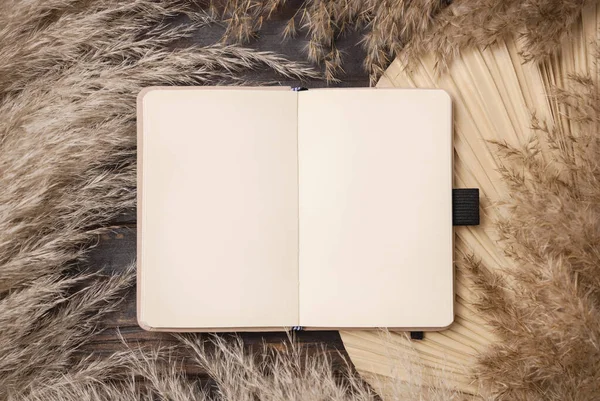 Opened Hardcover Texbook Dry Beige Palm Leaf Pampas Grass Top — Stock Photo, Image