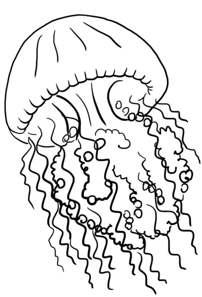 Esbozos Negros Medusas Acuarela Elemento Aislado Ilustración Subacuática Para Tarjetas —  Fotos de Stock