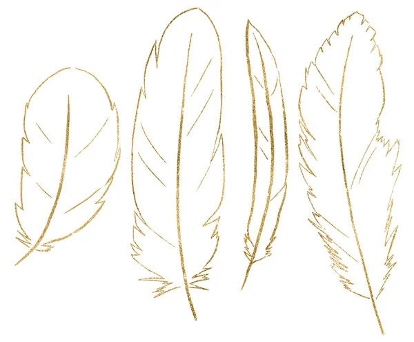 波希米亚金色羽毛轮廓孤立的插图 自然元素为Boho婚礼文具 贺卡和其他印刷和工艺项目 — 图库照片