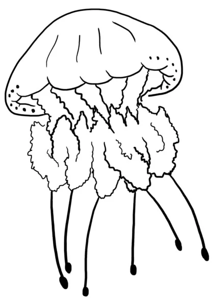 고립된 요소인 해파리의 윤곽을 줍니다 인사말 초대장 디오르 인쇄용 — 스톡 사진