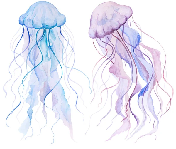Pink Light Blue Watercolor Jellyfishes Isolated Element Underwater Illustration Greeting — Stock Photo, Image
