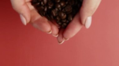 Elleri kavrulmuş kahve çekirdekleri pembe manzaralı.