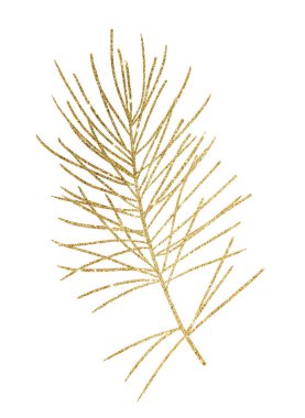 Noel altın çizgisi çam ağacı dalları izole edilmiş. Kış tatili tebrik kartları, düğün davetiyeleri, kış posterleri ve süslemeler için bir unsur..