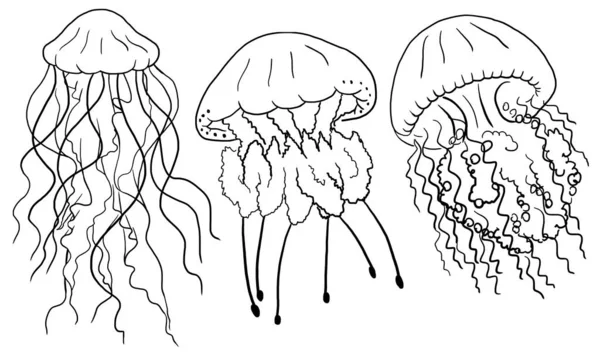 Czarne Kontury Meduzy Akwarelowe Izolowany Element Podwodne Ilustracja Kartek Okolicznościowych — Zdjęcie stockowe