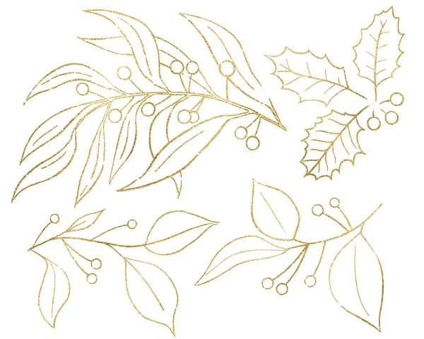 Christmas Hand Drawn Leaves Berries Silhouette Golden Outlines Isolated Element — Stock Photo, Image