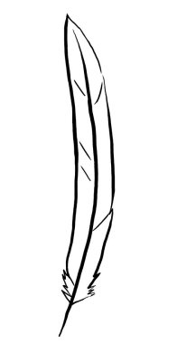 Bohem siyah tüy ana hatları izole illüstrasyon, boho düğün kırtasiyesi için doğal element, tebrik kartları ve diğer baskı ve el sanatları projeleri