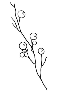Noel 'de çizilen böğürtlen silueti, siyah çizgiler, izole bir element. İşleme stili. Kış kırtasiyesi için resim, tatil partisi davetiyeleri, selamlar