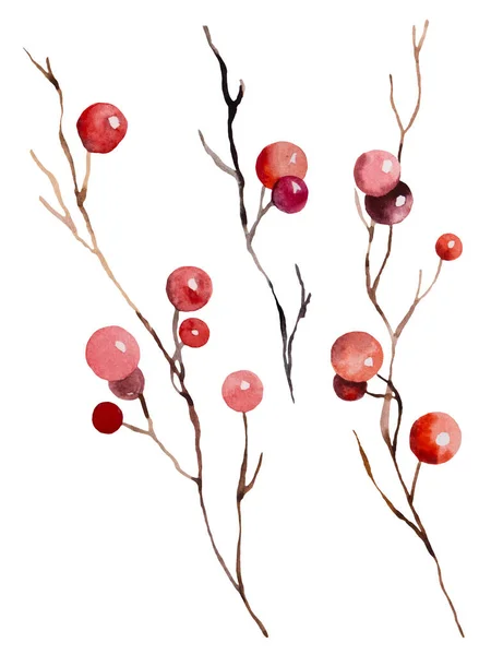 Vánoční Akvarelové Větvičky Červenými Bobulemi Izolované Ilustrace Ilustrace Pro Zimní — Stock fotografie