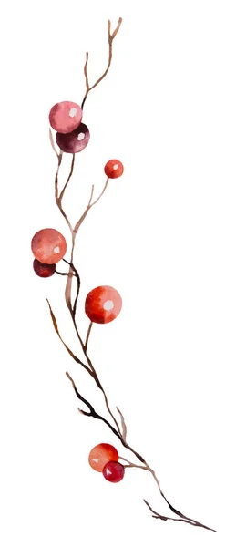 Vánoční Akvarel Větvička Červenými Bobulemi Izolované Ilustrace Ilustrace Pro Zimní — Stock fotografie