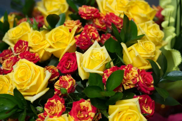Close-up of colorful assorted roses — Stock Photo, Image