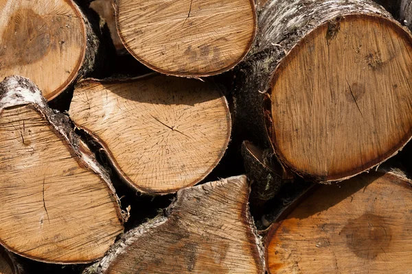 Zblízka řezaná dřevěná textura — Stock fotografie