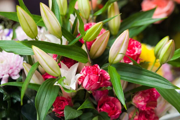 Buquê de flores. — Fotografia de Stock