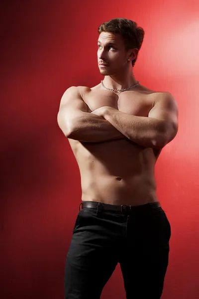 Muscular male torso. relief. — Stock Photo, Image