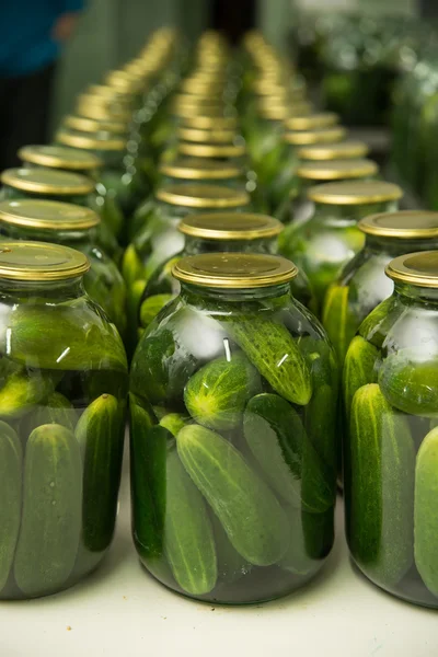 Gurtsov conservation. Fresh cucumbers in jars — Stock Photo, Image