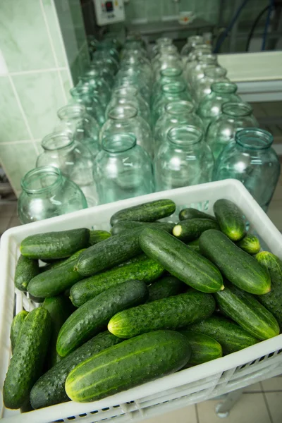 Gurtsov bevaring. Ferske agurker i krukker – stockfoto