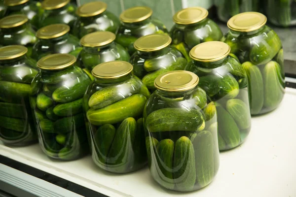 Gurtsov conservation. Fresh cucumbers in jars — Stock Image Gurtsov conservation. Fresh cucumbers in jars Royalty Free Stock Photos